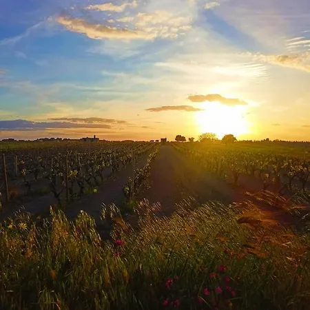 Cristina לינה וארוחת בוקר טוריצ'לה