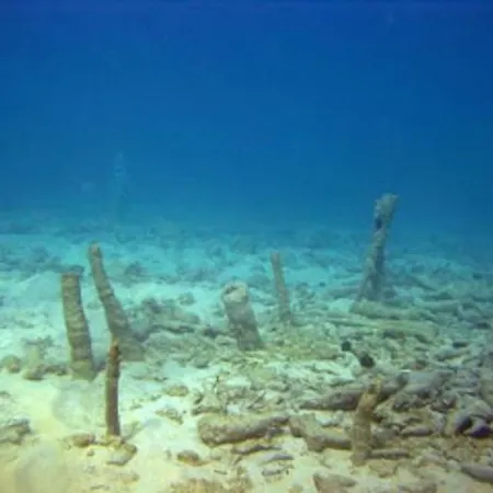 לינה וארוחת בוקר Cristina