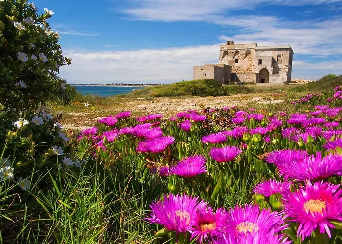 Bed and breakfast Cristina 3*