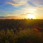 Cristina Bed and breakfast Torricella (Taranto)